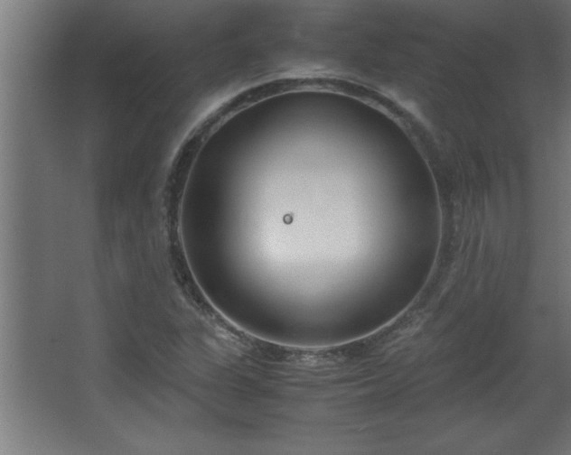 X0000067831311200604201205