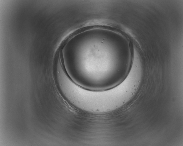 X0000067831312200604201205