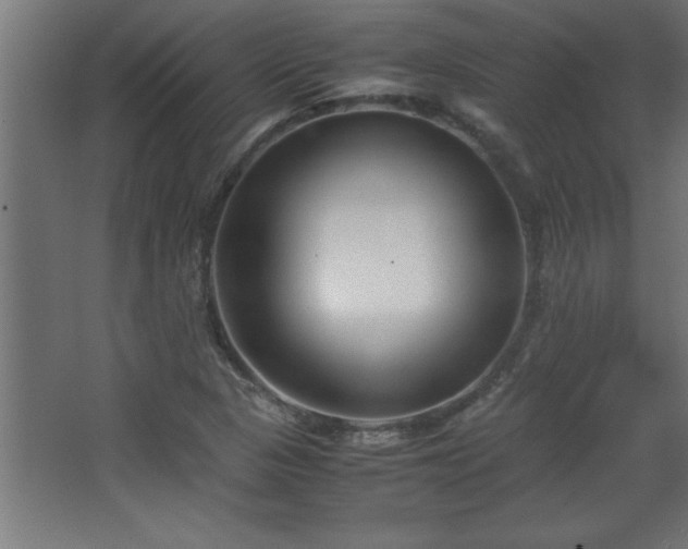 X0000067831313200604201205