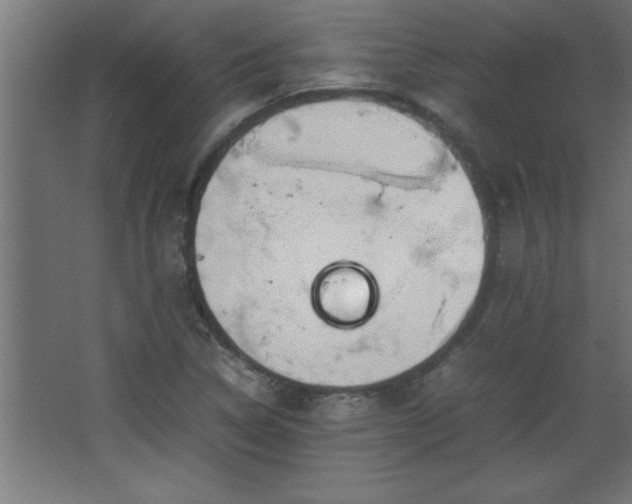 X0000067831314200604201205