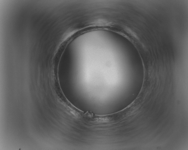 X0000067831315200604201205