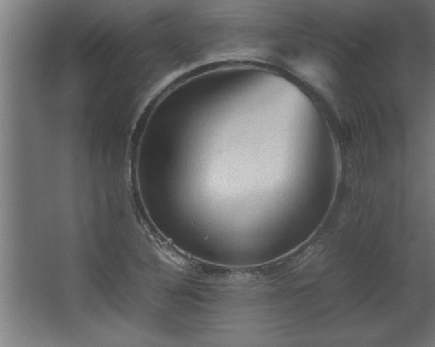 X0000067831316200604201205