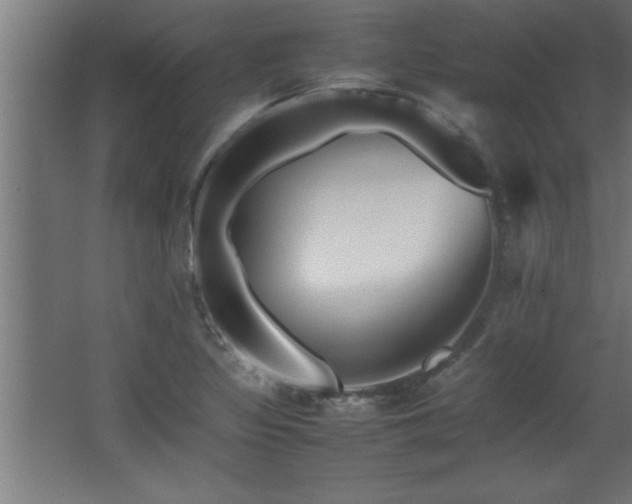 X0000067831317200604201205