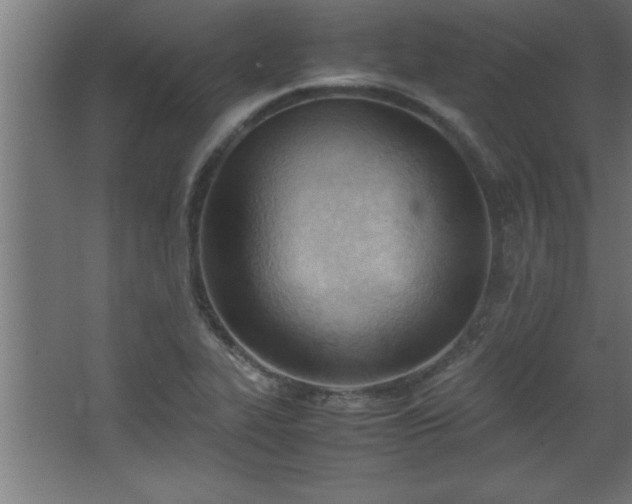 X0000067831319200604201205