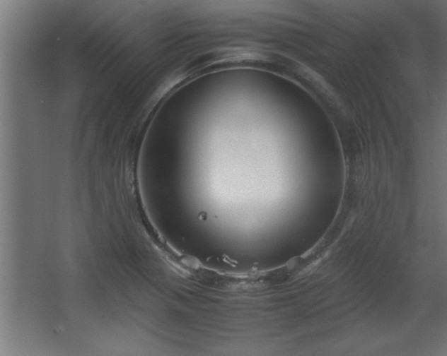 X0000067831321200604201205