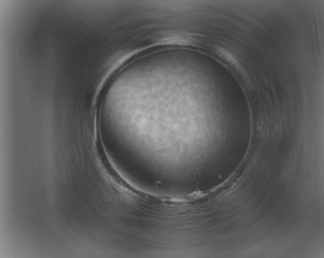 X0000067831323200604201205