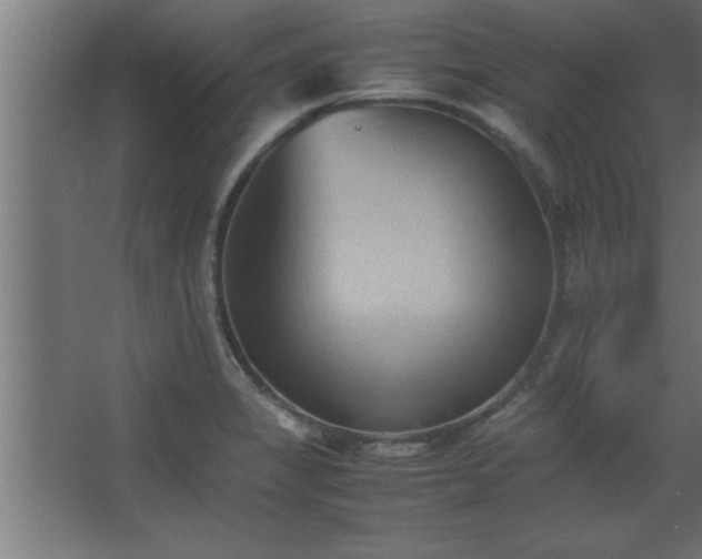 X0000067831325200604201205