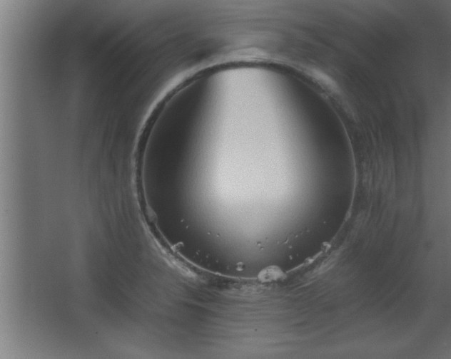 X0000067831326200604201205