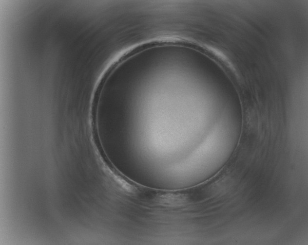 X0000067831327200604201205