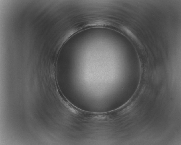 X0000067831329200604201205