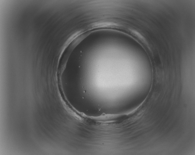 X0000067831330200604201205