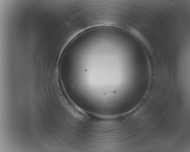 X0000067831332200604201205