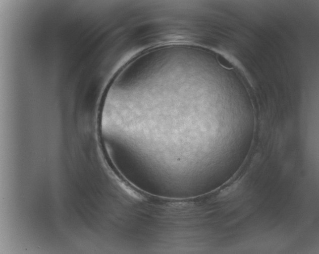 X0000067831333200604201205