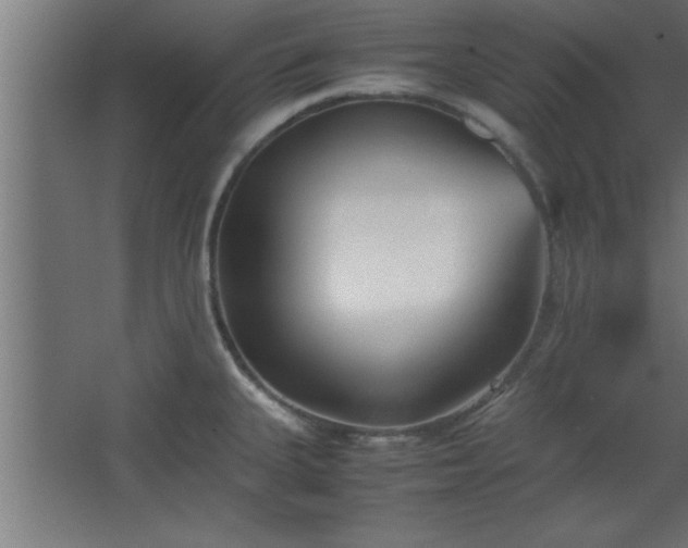 X0000067831335200604201205