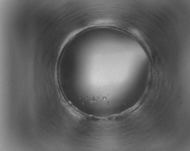 X0000067831336200604201205