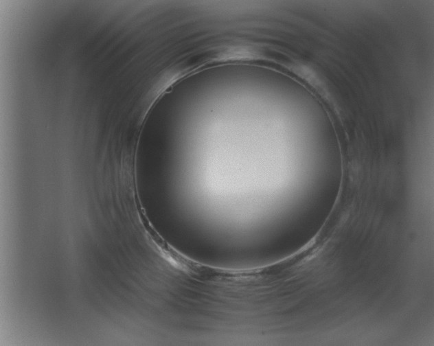 X0000067831337200604201205