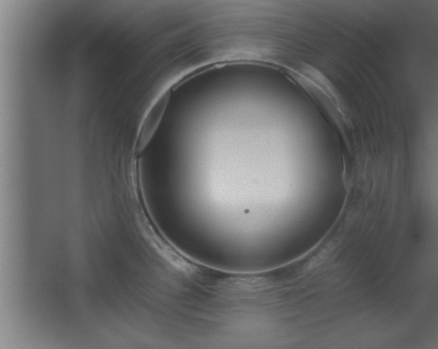 X0000067831340200604201205