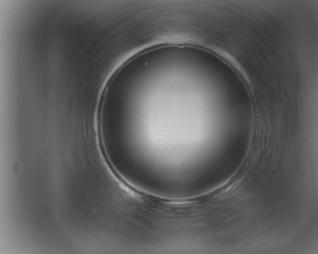 X0000067831343200604201205