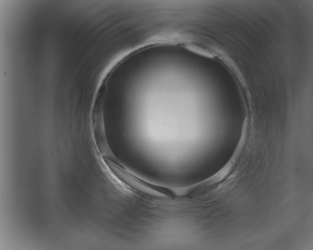 X0000067831344200604201205