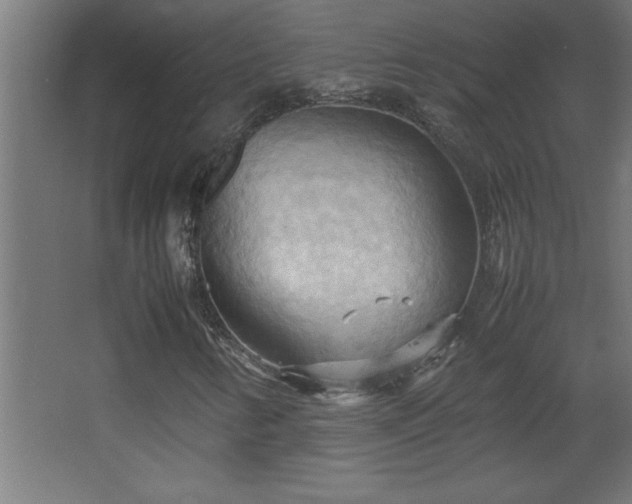 X0000067831346200604201205