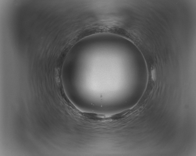 X0000067831347200604201205