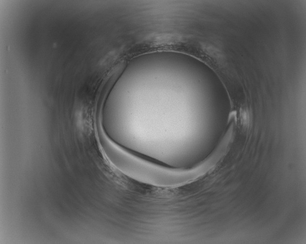 X0000067831348200604201205