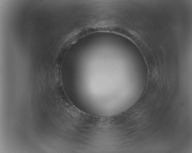 X0000067831350200604201205