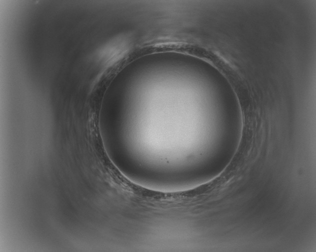 X0000067831351200604201205