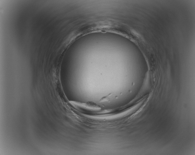 X0000067831353200604201205