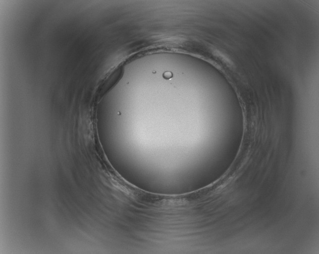 X0000067831354200604201205