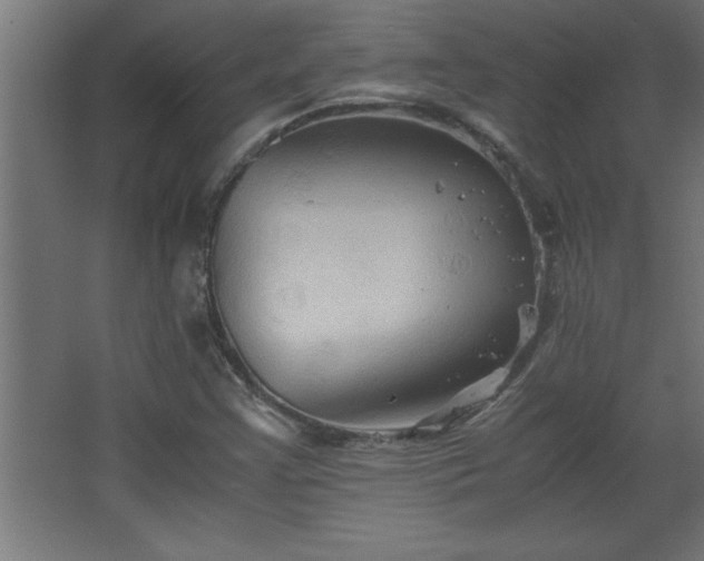 X0000067831355200604201204