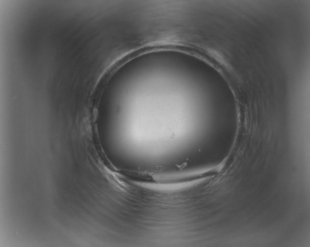 X0000067831356200604201204