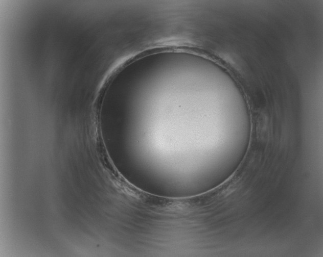 X0000067831358200604201204