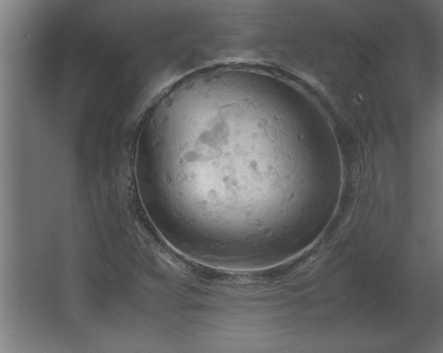 X0000067831359200604201204