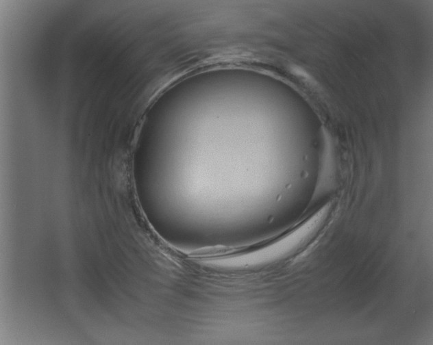 X0000067831361200604201204