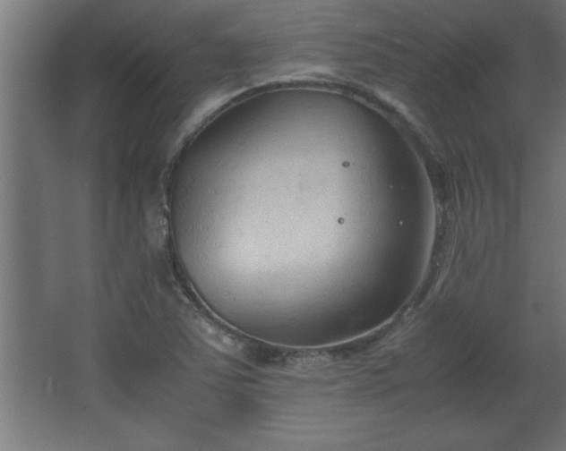 X0000067831363200604201204