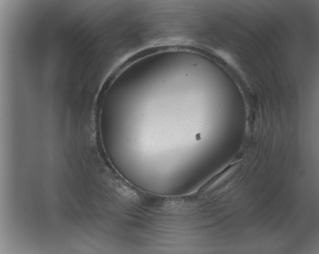 X0000067831364200604201204