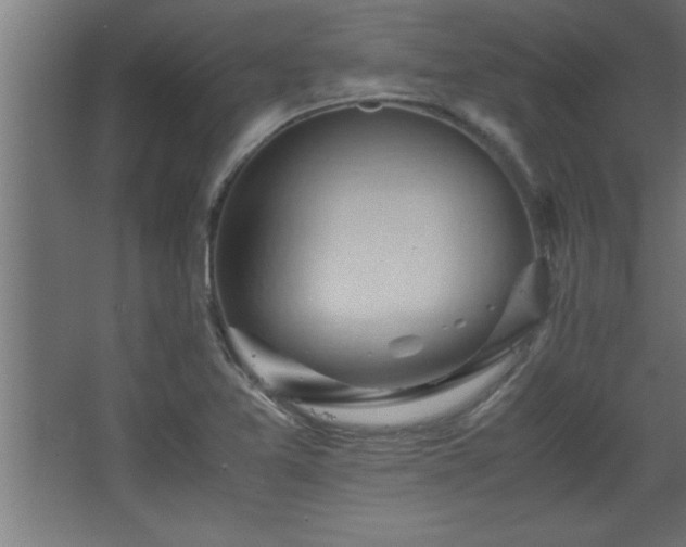 X0000067831365200604201204