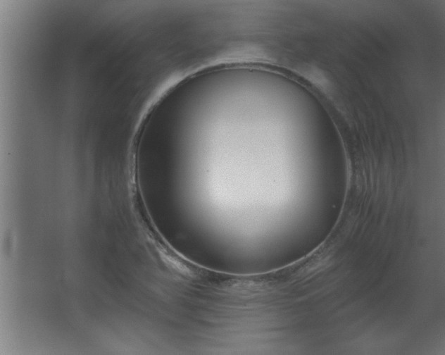 X0000067831366200604201204