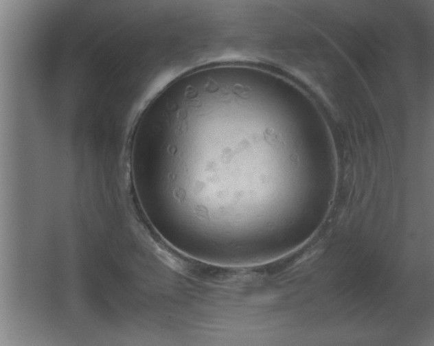 X0000067831367200604201204