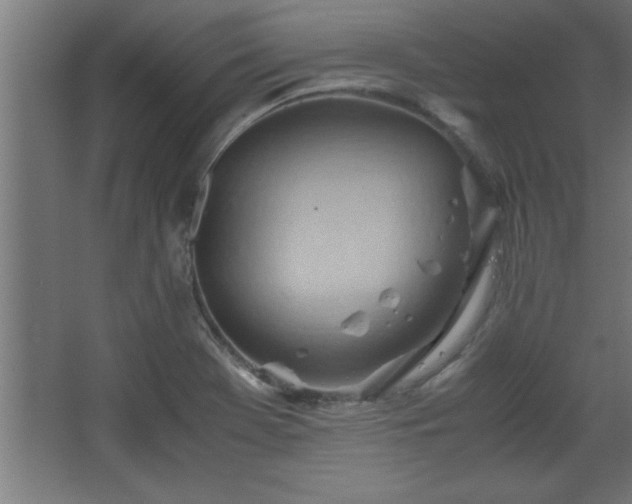 X0000067831369200604201204