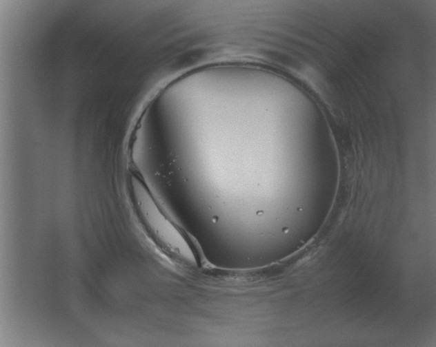 X0000067831371200604201204