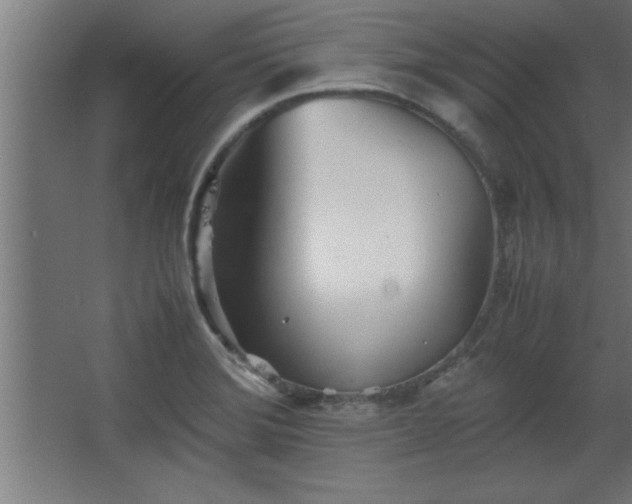 X0000067831372200604201204