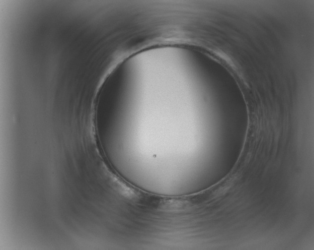 X0000067831374200604201204