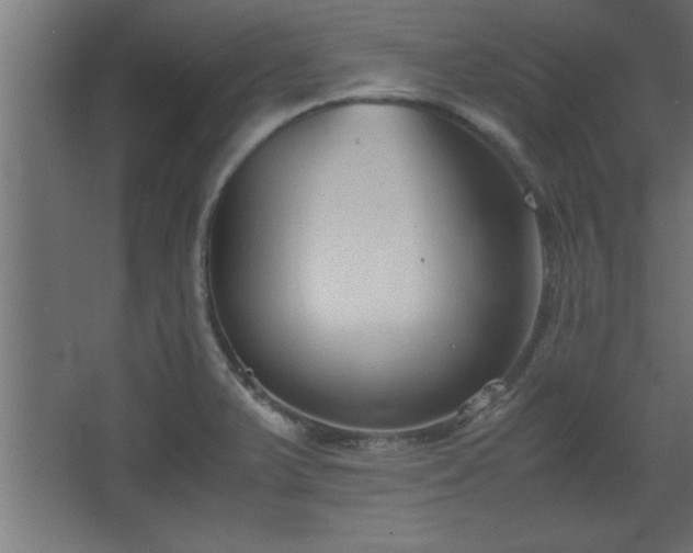 X0000067831375200604201204