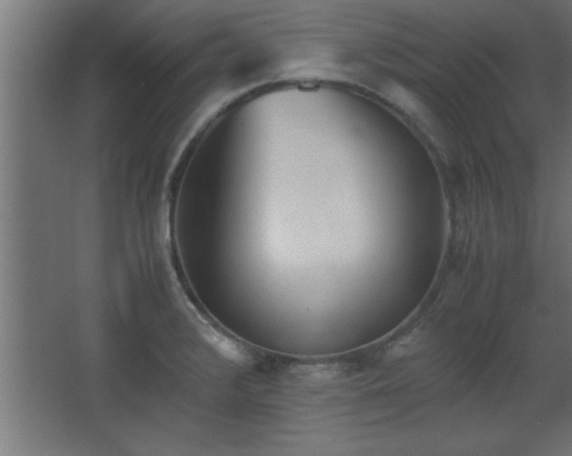 X0000067831376200604201204