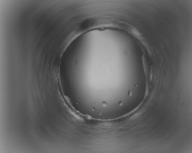 X0000067831377200604201204