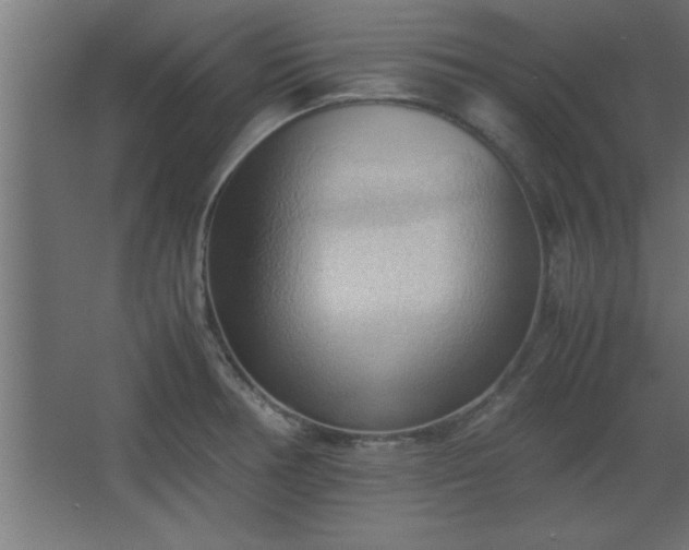 X0000067831378200604201204