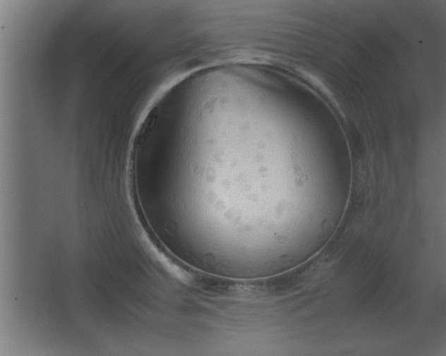 X0000067831379200604201204