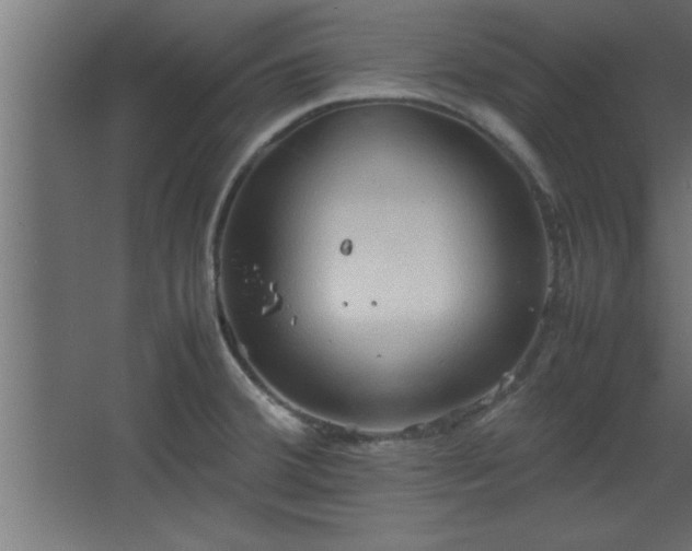 X0000067831380200604201204